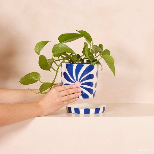 Plant Pot Lior - Fiesta Floral | Que Rico