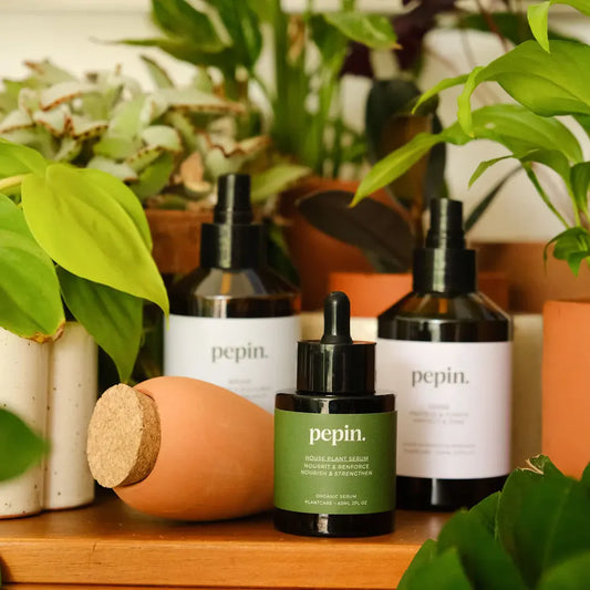 Plantcare routine | Pepin.