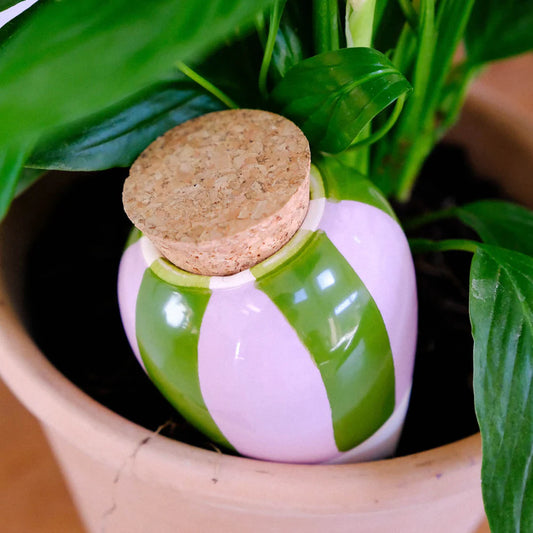 Hydrating Olla - Green and Lila striped | Pepin