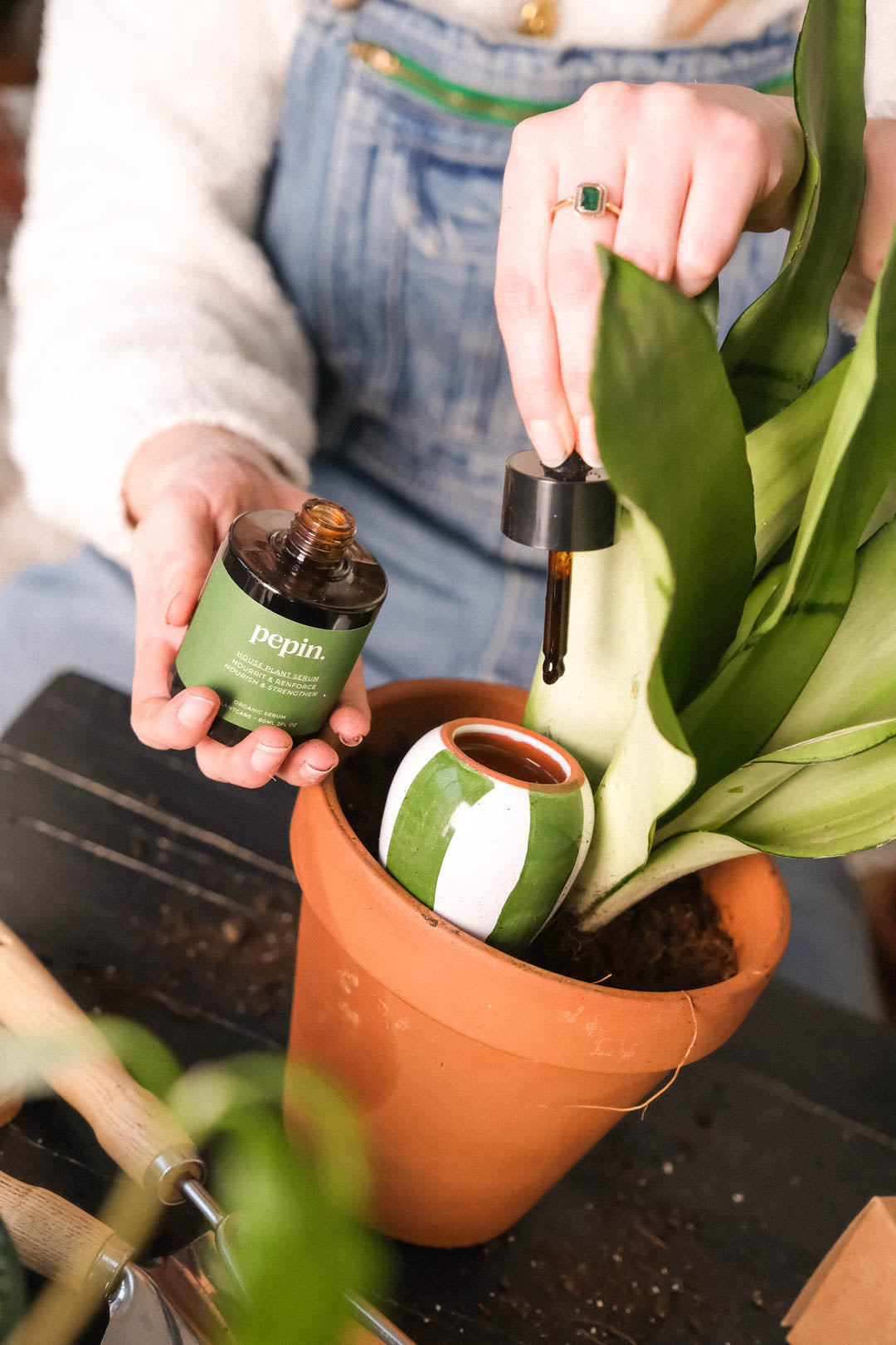 Trio mini Olla - Les Rayés | Pepin.