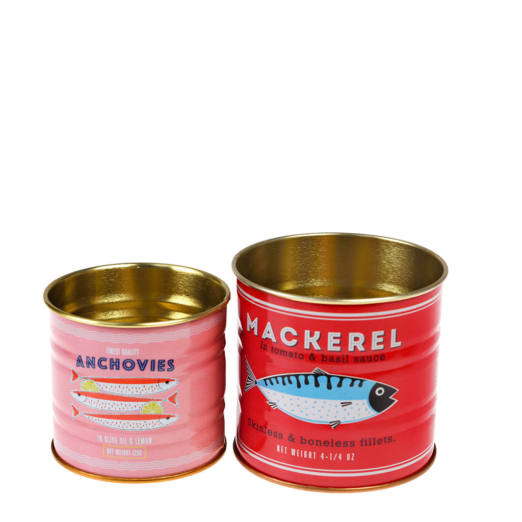 Mini storage tins - set of 2 - fish | Rex