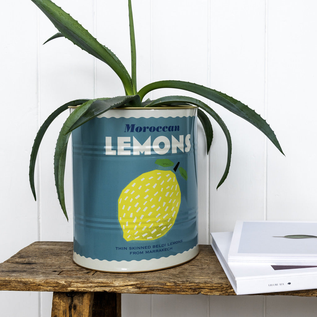 XL storage tins - set of 2 - lemons and harissa | Rex