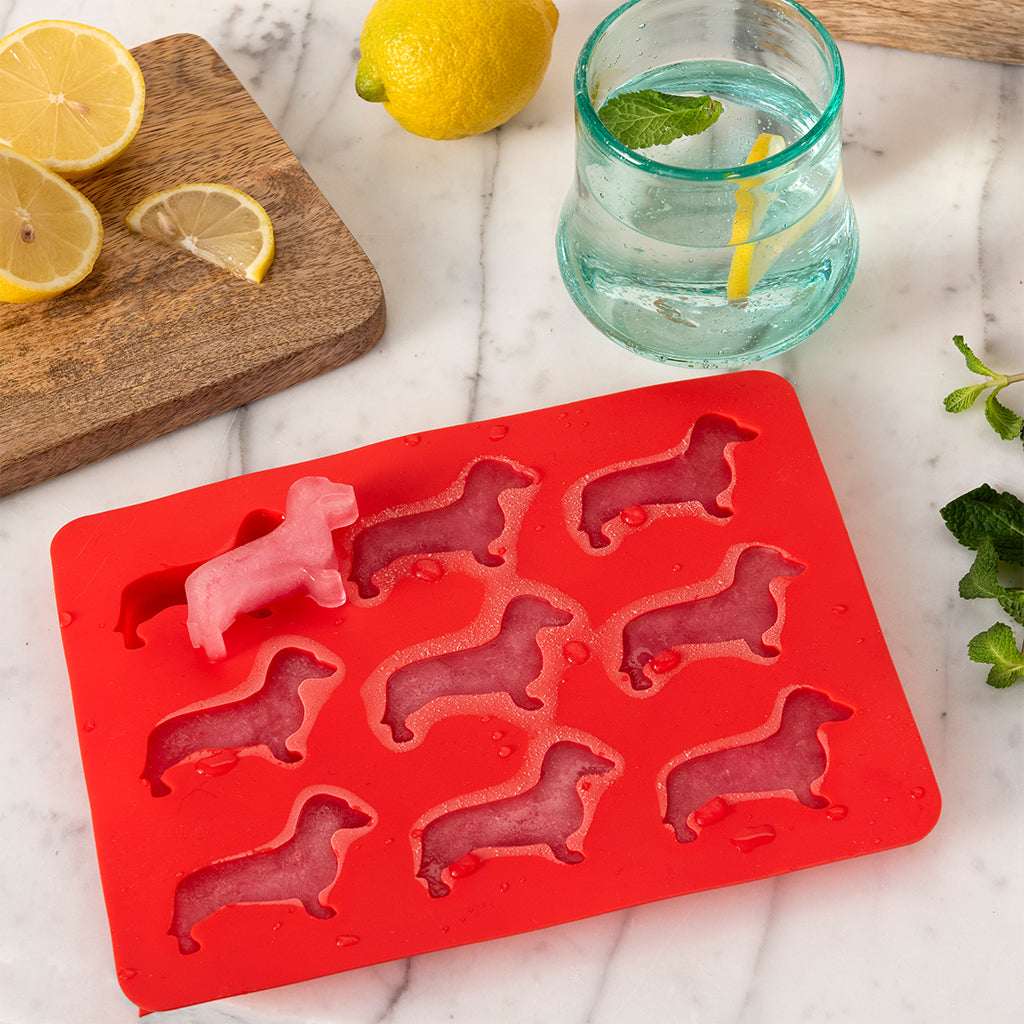 Ice cube tray - teckel | Rex