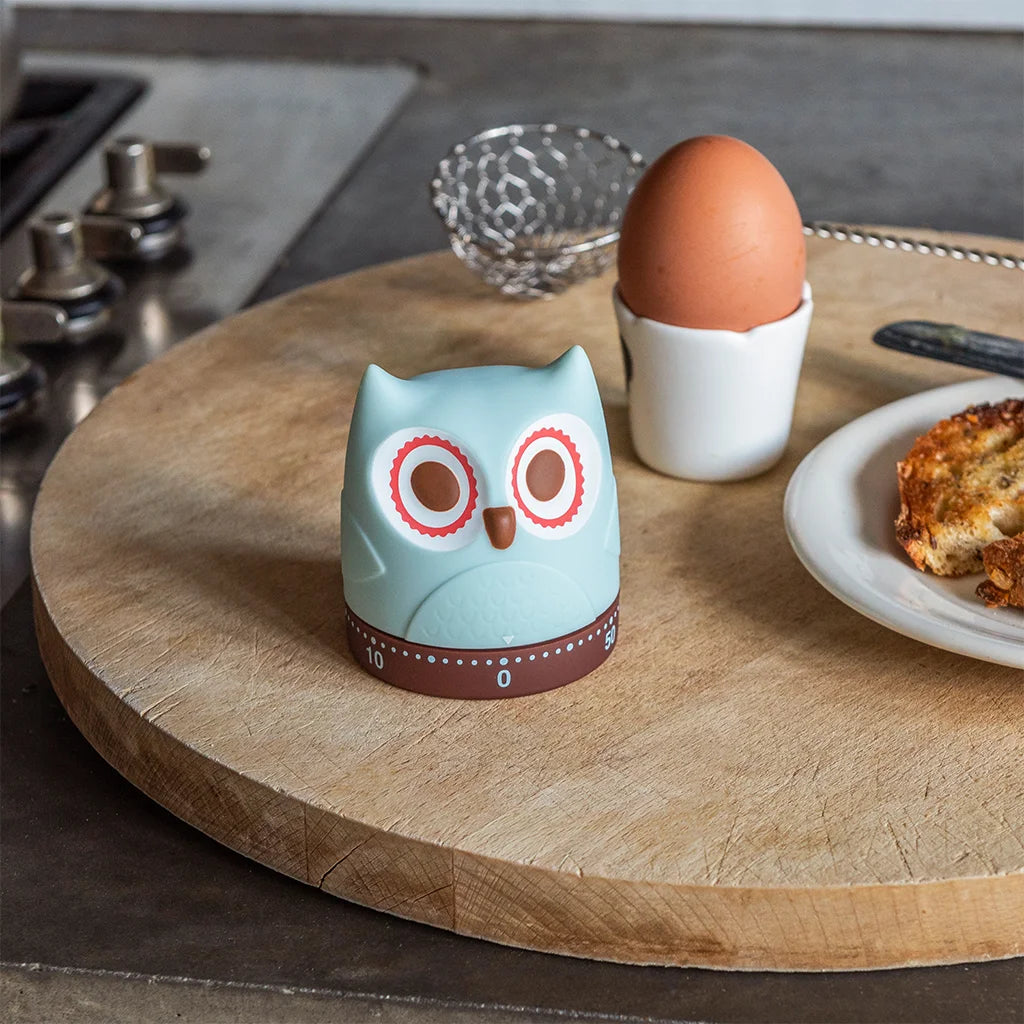 Wind-up Kitchen Timer Owl | Rex