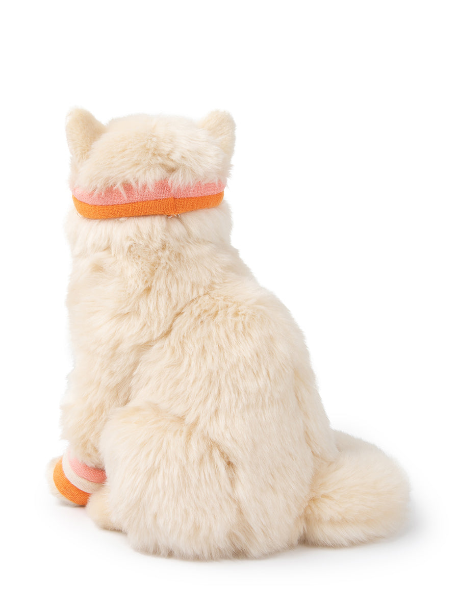 Dolly the Ragdoll | B.T.Chaps