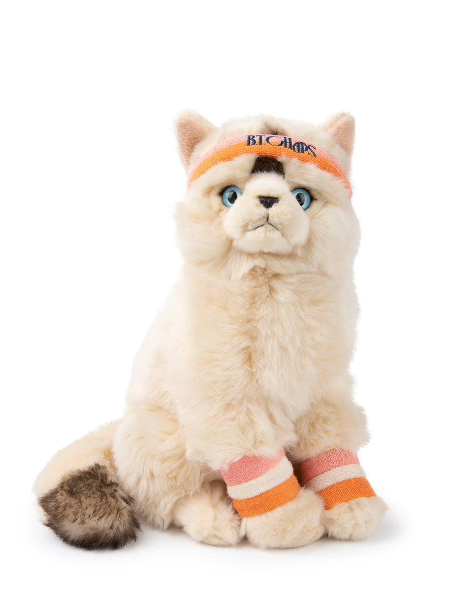 Dolly the Ragdoll | B.T.Chaps