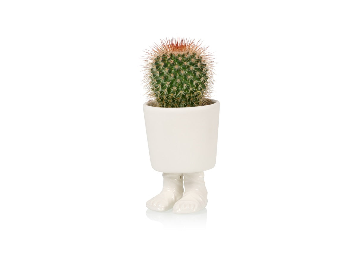 Gladiator sandal planter - small | Bitten design - de inKijk