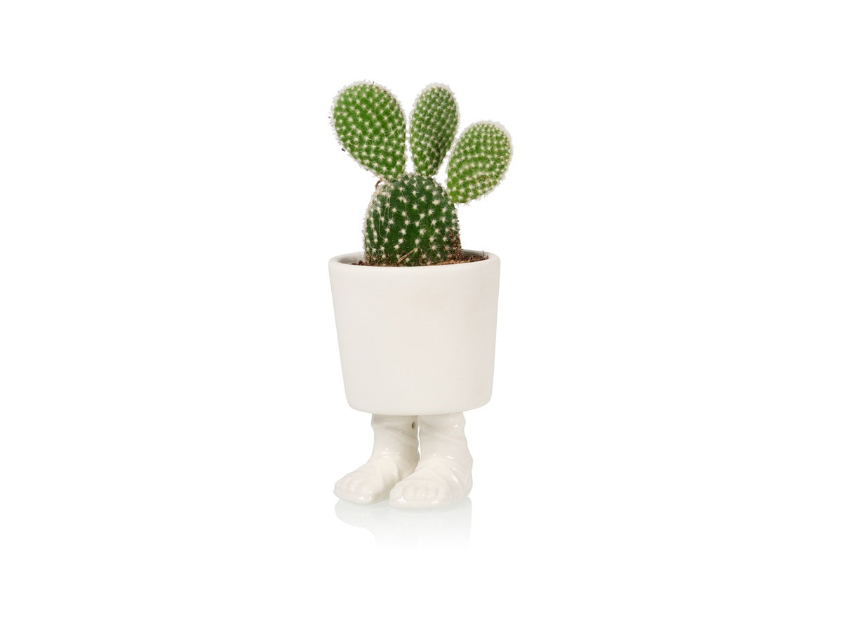 Gladiator sandal planter - small | Bitten design - de inKijk