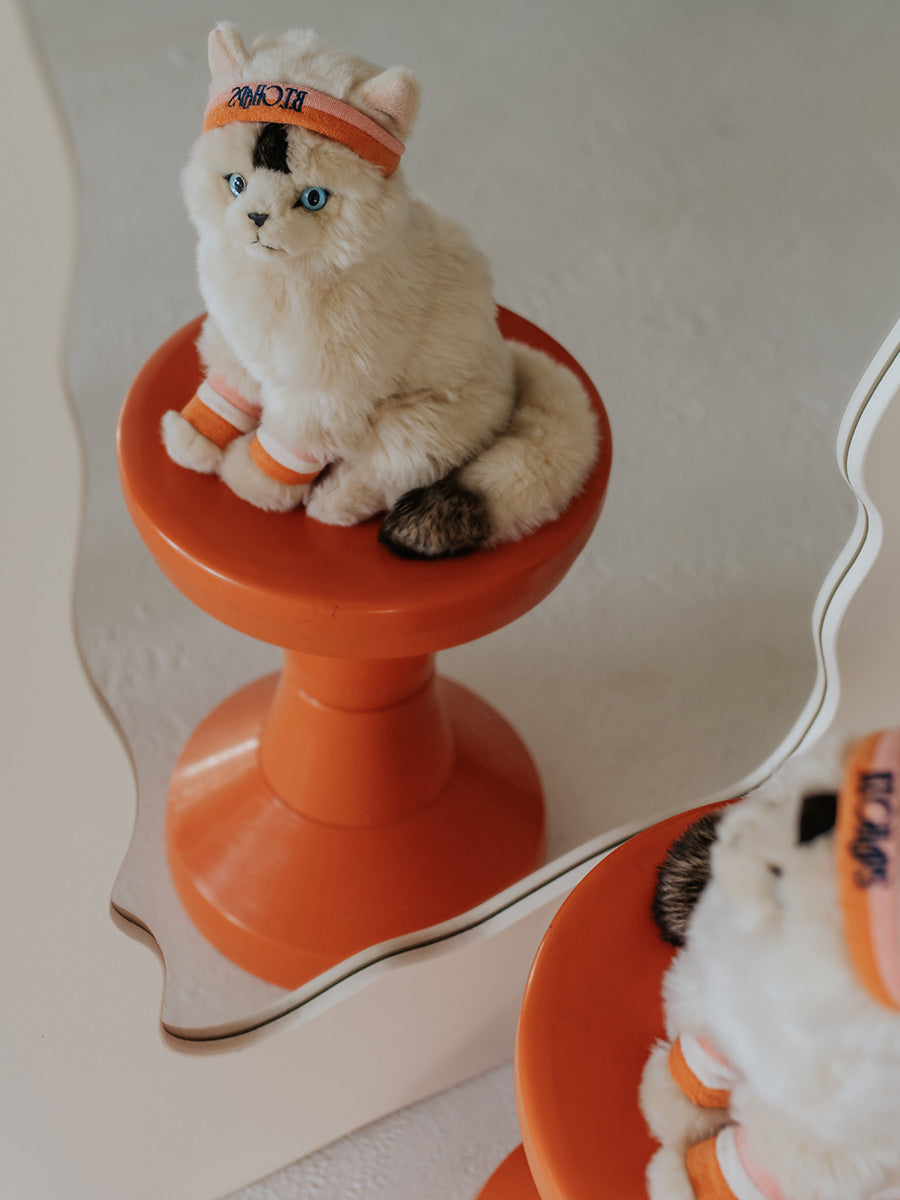 Dolly the Ragdoll | B.T.Chaps
