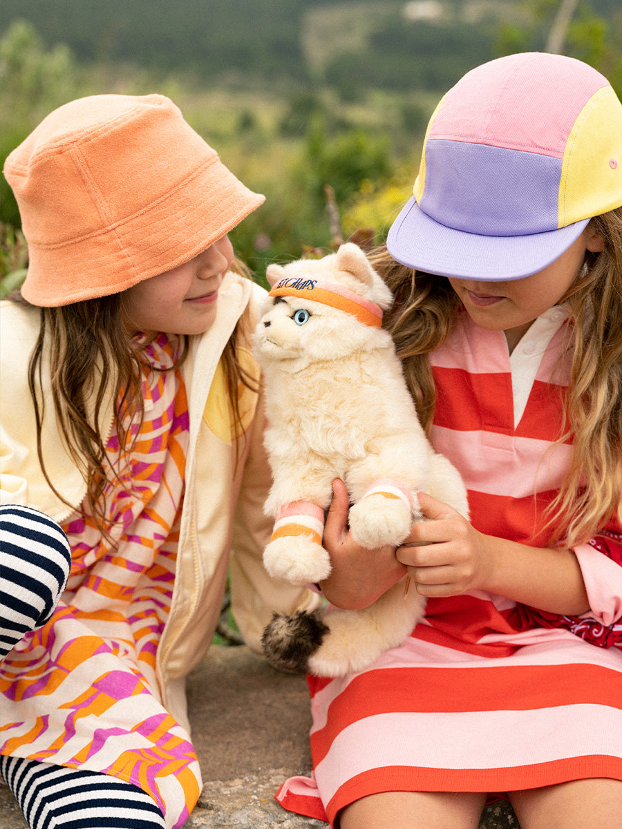 Dolly the Ragdoll | B.T.Chaps
