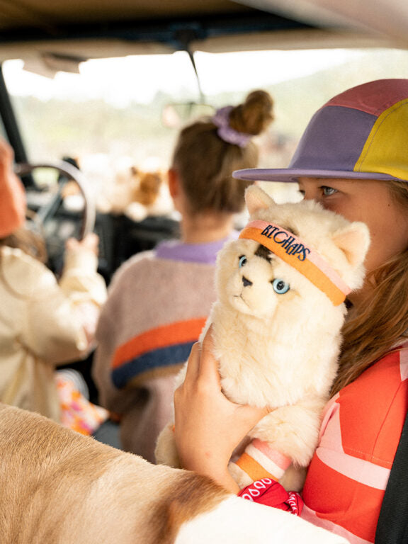 Dolly the Ragdoll | B.T.Chaps