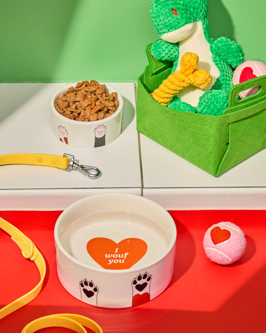 Dog Bowl | Fluid market