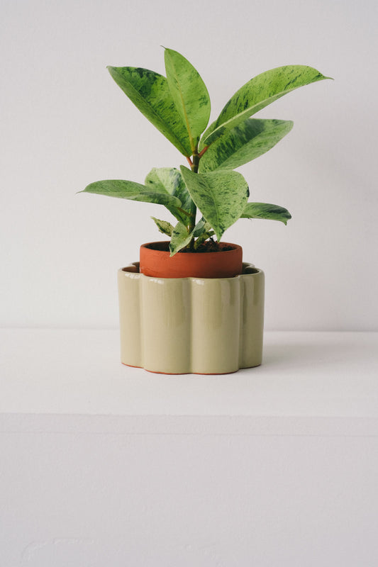 Paulita self-watering pot - Green | Pepin.