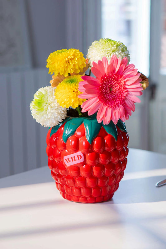 Vase - raspberry | Doiydesign - de inKijk