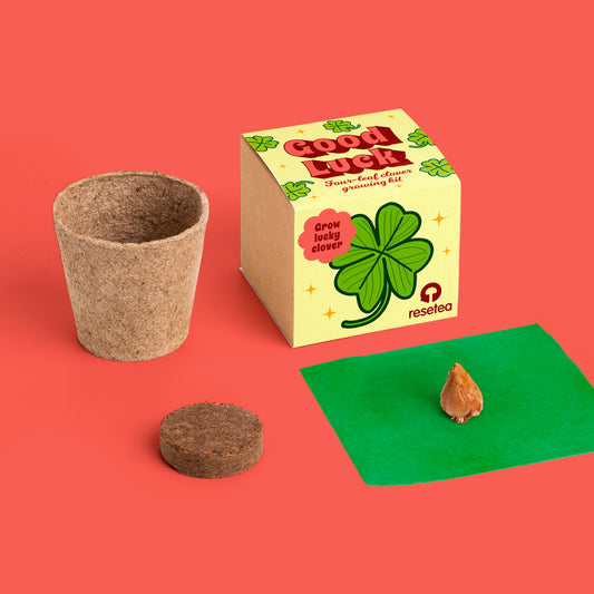 Good luck – Four-leaf clover growing kit | Resetea