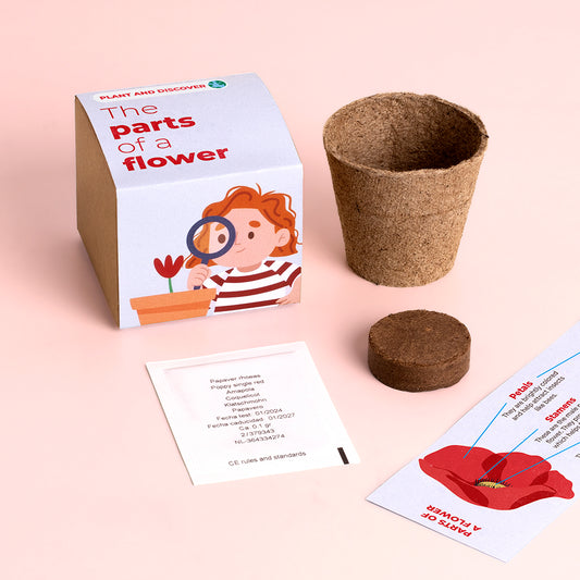Plant and discover: The parts of a flower - Growing kit | Resetea