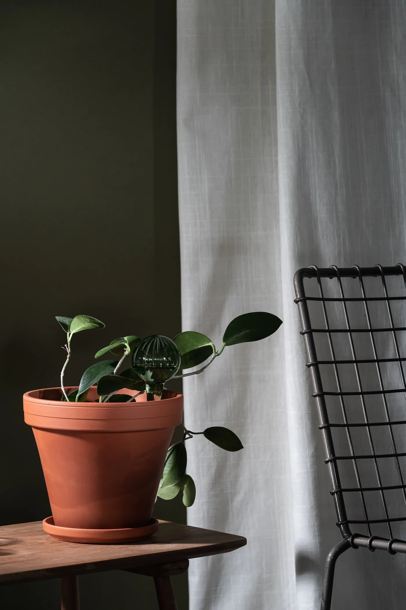 Watering bulb - green - 15cm | Muurla - de inKijk