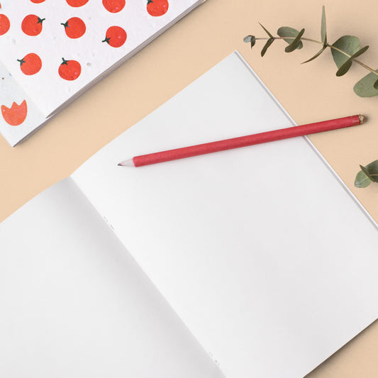 Plantable notebook with carrot seeds | Resetea