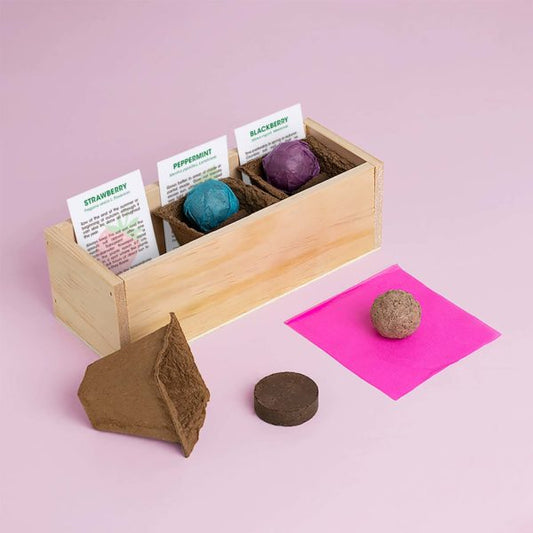 Desserts Growing Kit - aardbei, braambes, aalbes | Resetea - de inKijk