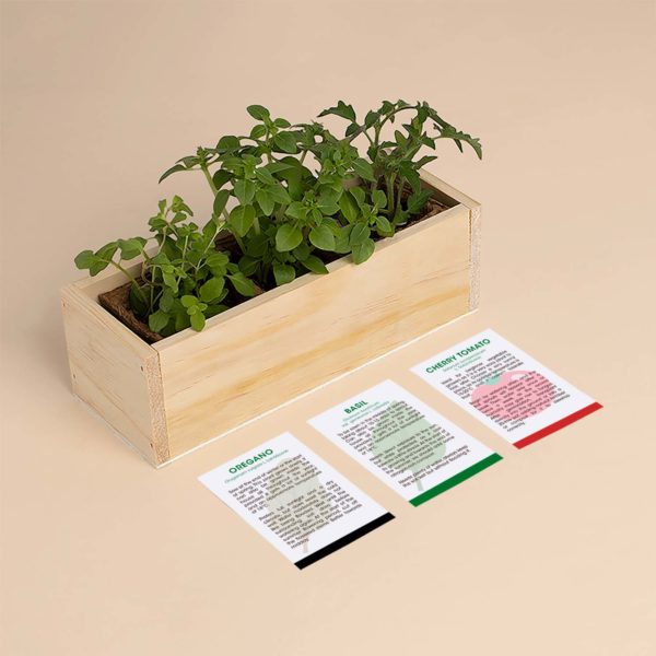 Pizza Growing Kit - oregano, basilicum, kerstomaat | Resetea