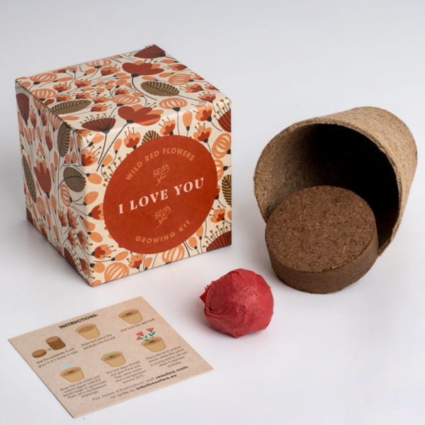 Say it with Flowers Growing Kit - I love you | Resetea