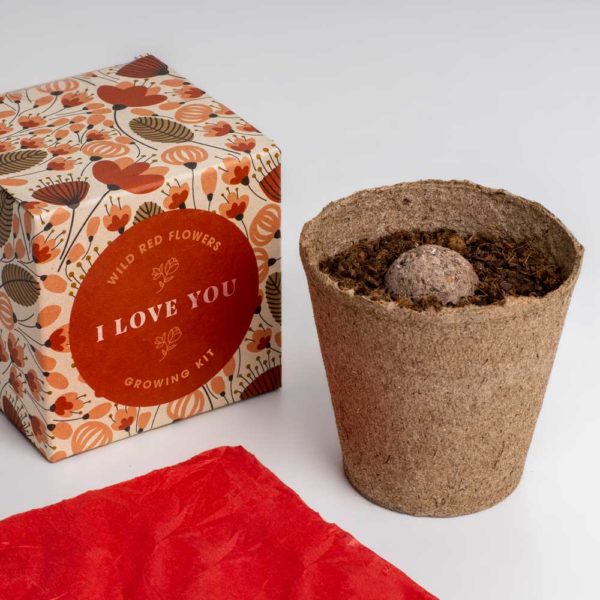 Say it with Flowers Growing Kit - I love you | Resetea