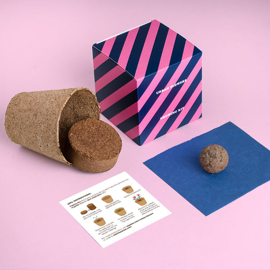 Urban Flowers – Blue - Growing kit | Resetea