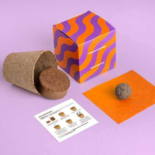 Urban Flowers – Orange - Growing kit | Resetea
