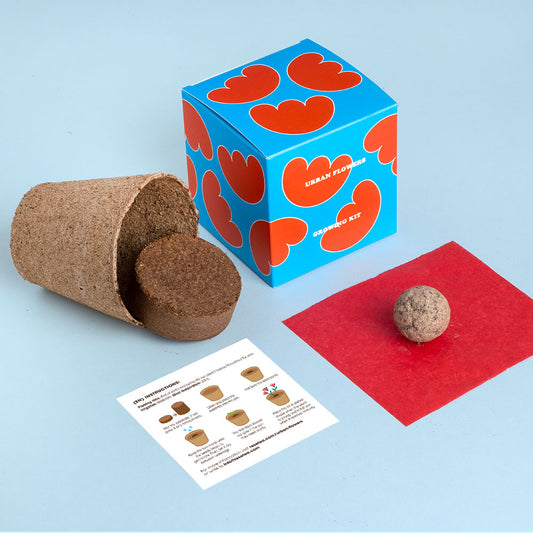 Urban Flowers – Red - Growing kit | Resetea