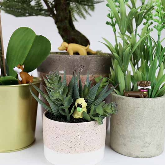 Adorable dogs voor plantenpot - set v. 4 | Gift Republic