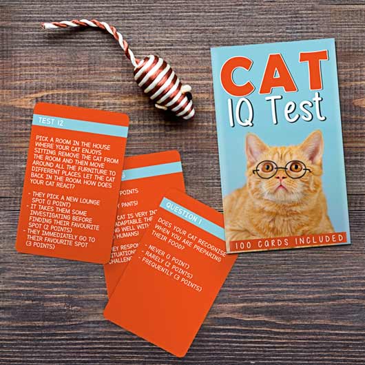 Cat IQ test | Gift Republic - de inKijk