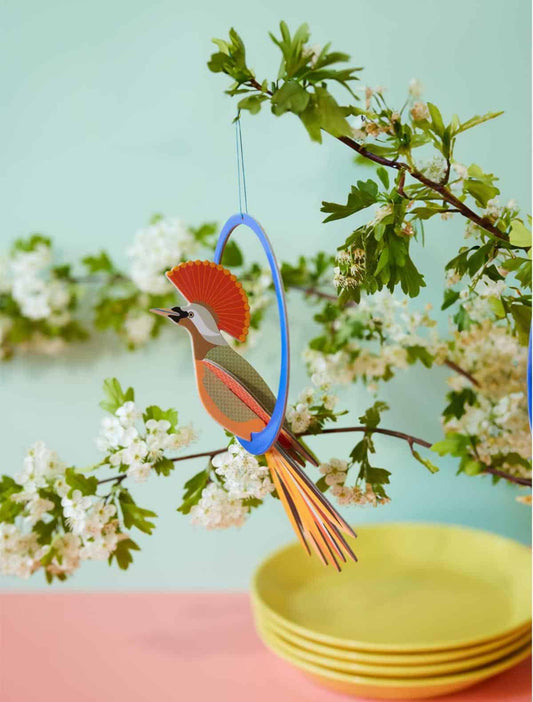 Crowned Obi, pop-out card | Studio Roof - de inKijk