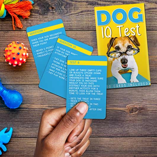 Dog IQ test | Gift Republic - de inKijk