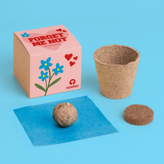 Forget me not Growing Kit | Resetea