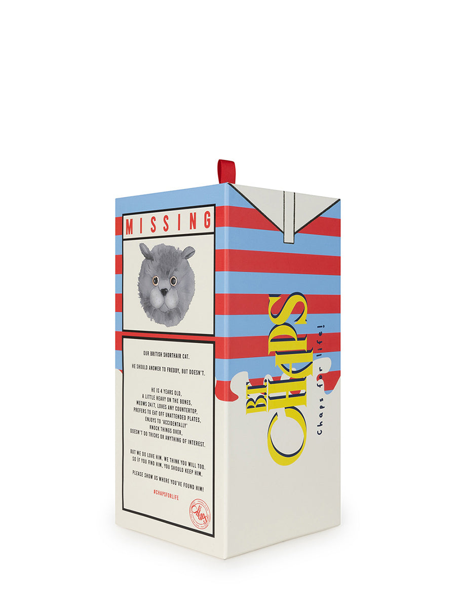 Freddy the british shorthair in giftbox | B.T.Chaps - de inKijk