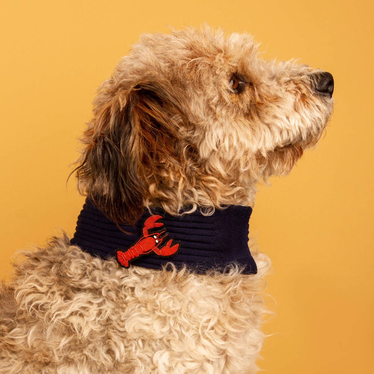 Broche - Orange Lobster | Macon et Lesquoy