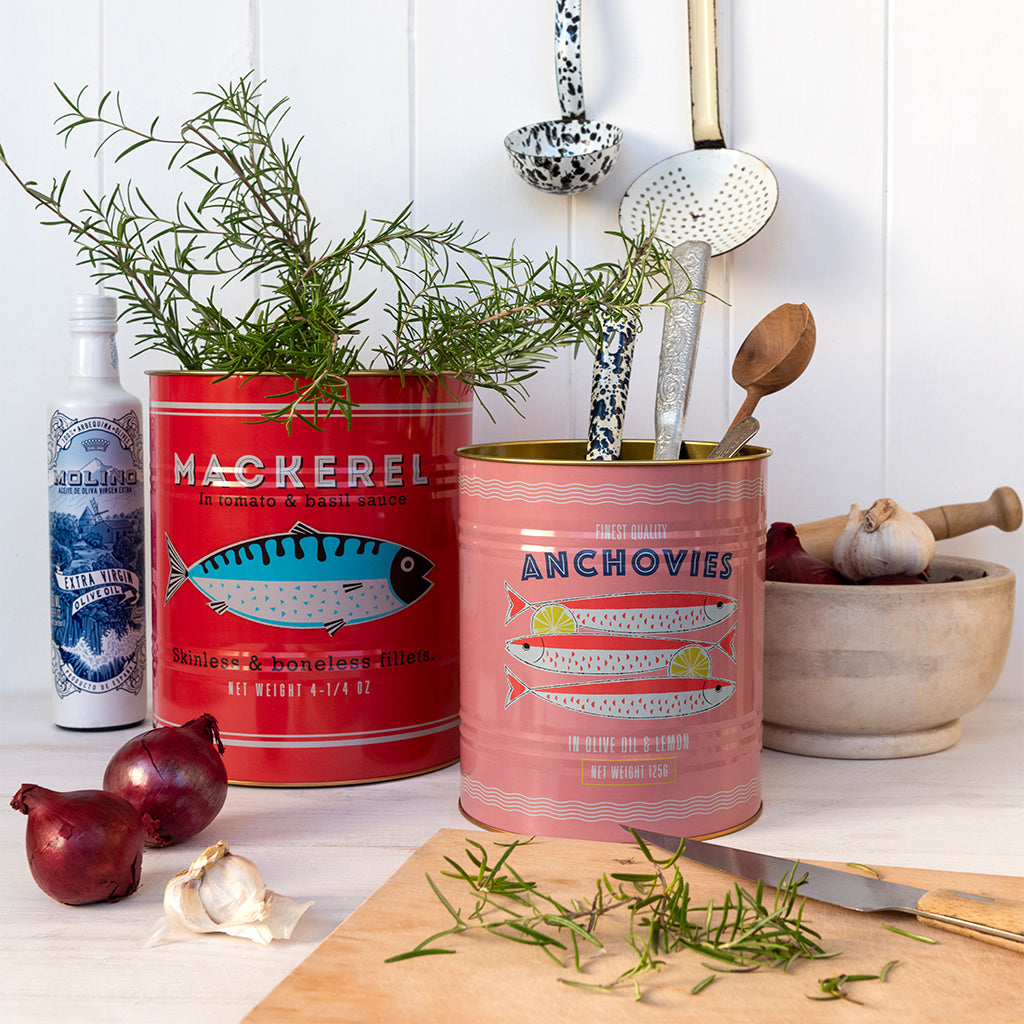 XL storage tins - set of 2 - fish | Rex