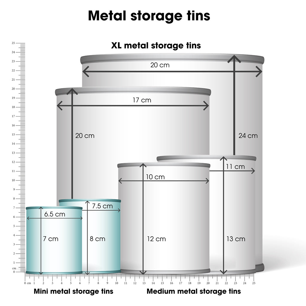Mini storage tins - set of 2 - fish | Rex