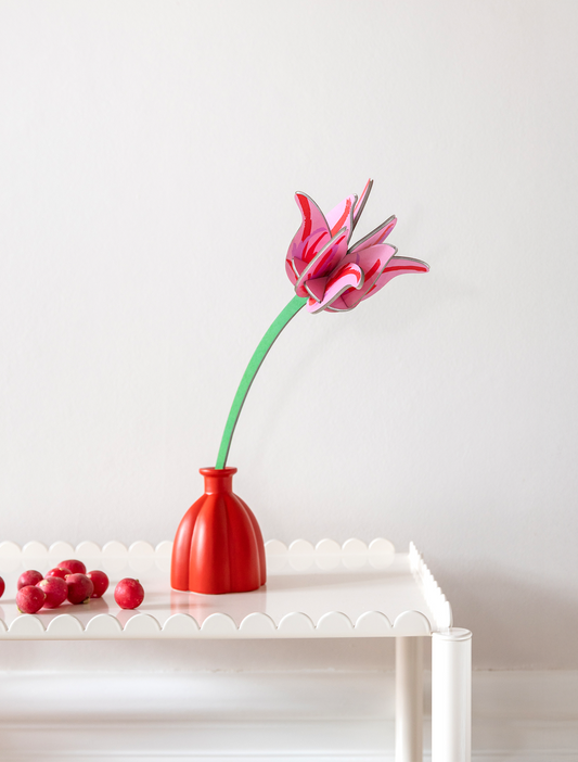 Pink Tulip - everlasting flower | Studio Roof