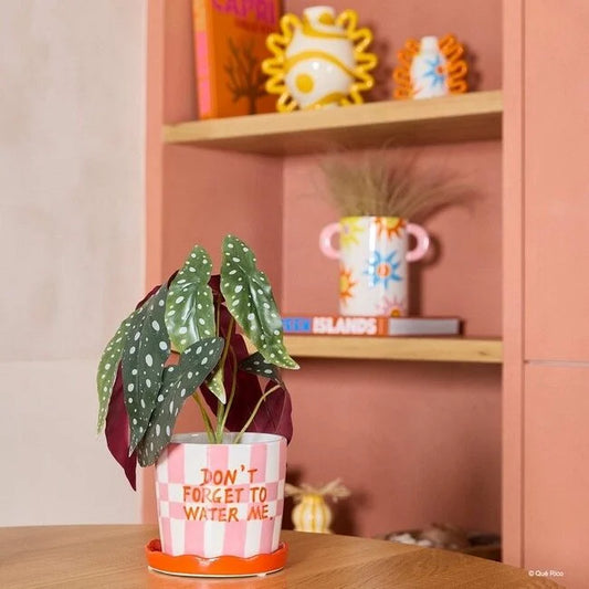 Plant Pot Lior - Squares & Stripes | Que Rico