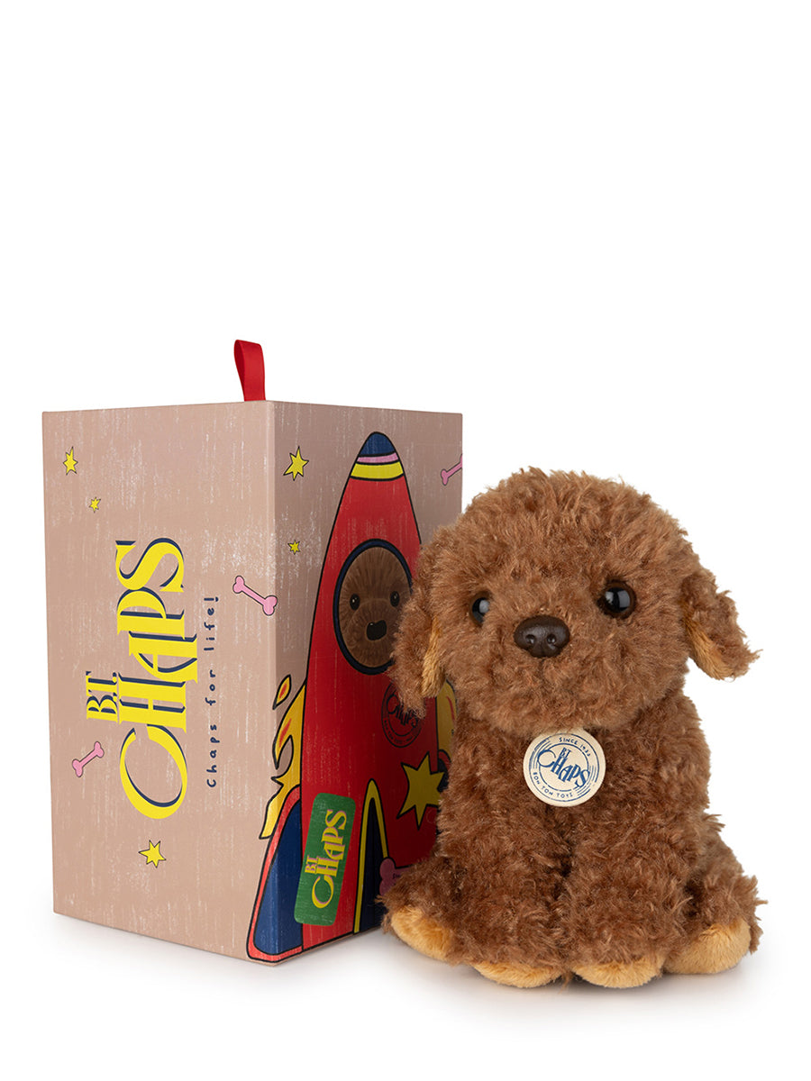 Stacy the Labradoodle in giftbox | B.T.Chaps