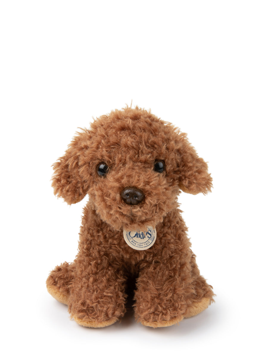 Stacy the Labradoodle in giftbox | B.T.Chaps