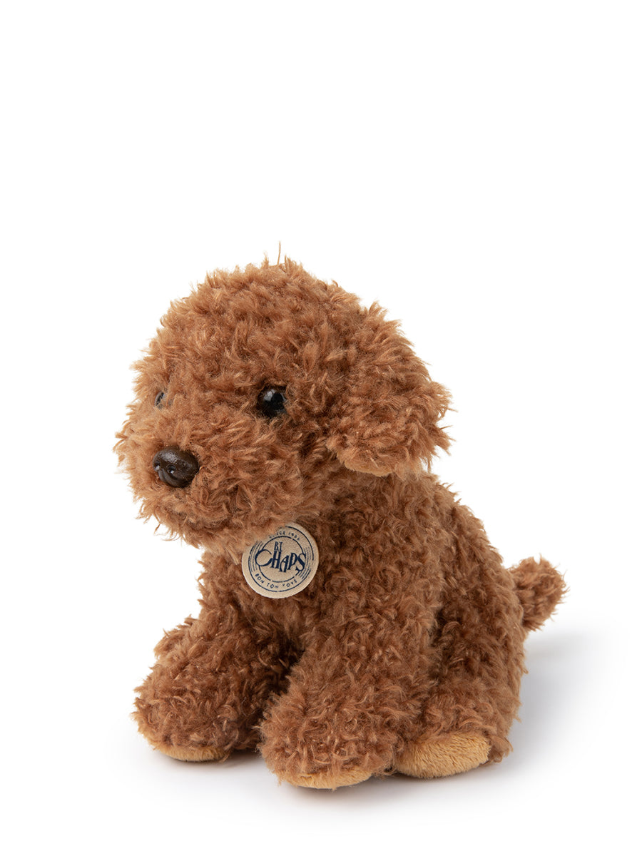 Stacy the Labradoodle in giftbox | B.T.Chaps