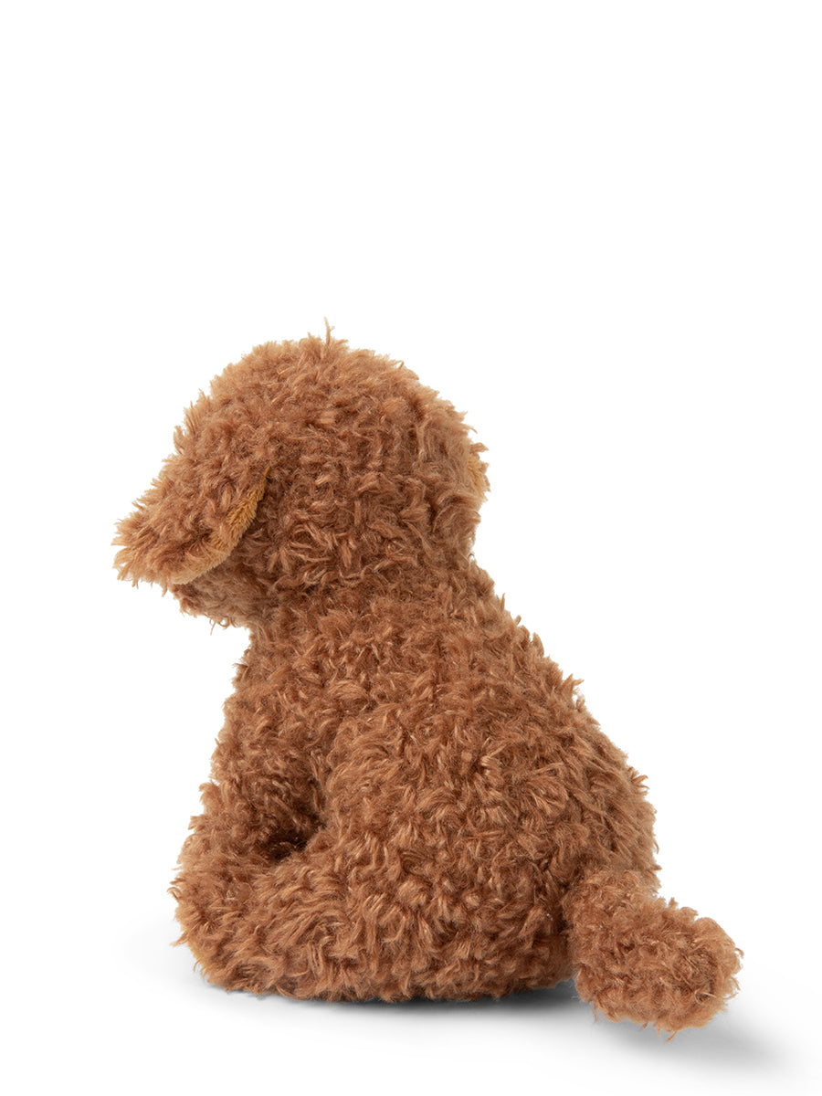 Stacy the Labradoodle in giftbox | B.T.Chaps