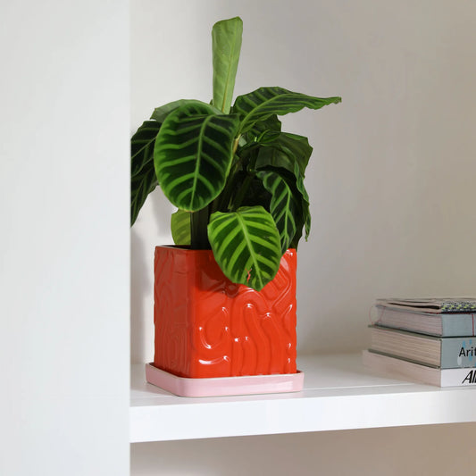 Planter Tribe - red | &Klevering - de inKijk