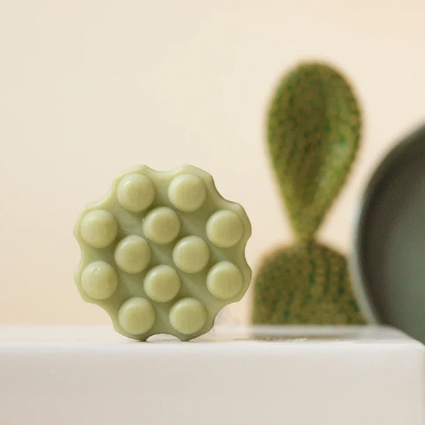 Refreshing cactus shampoo bar | Wondr Care - de inKijk