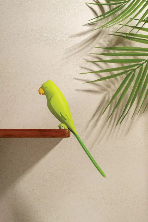 Parry - Jar Scraper Spatula | Ototo