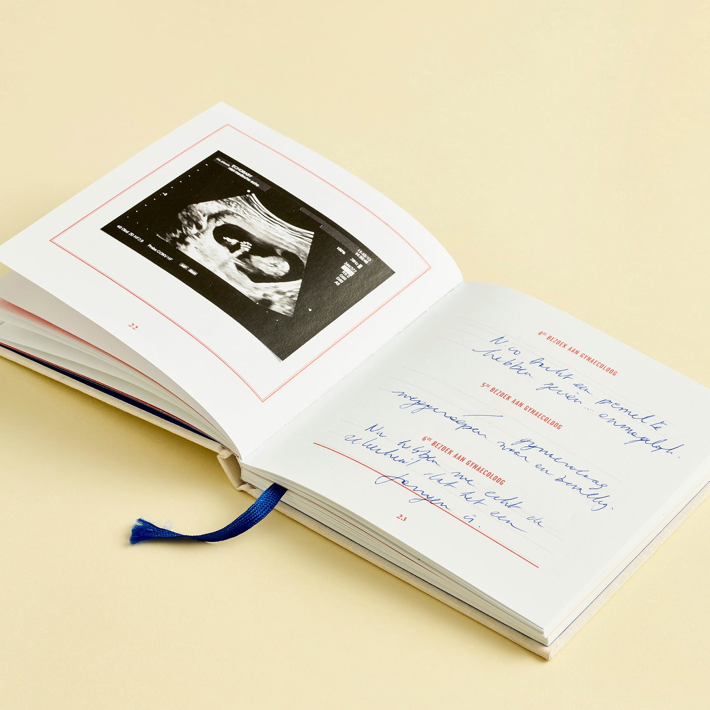 9 maanden logboek | Stratier - de inKijk