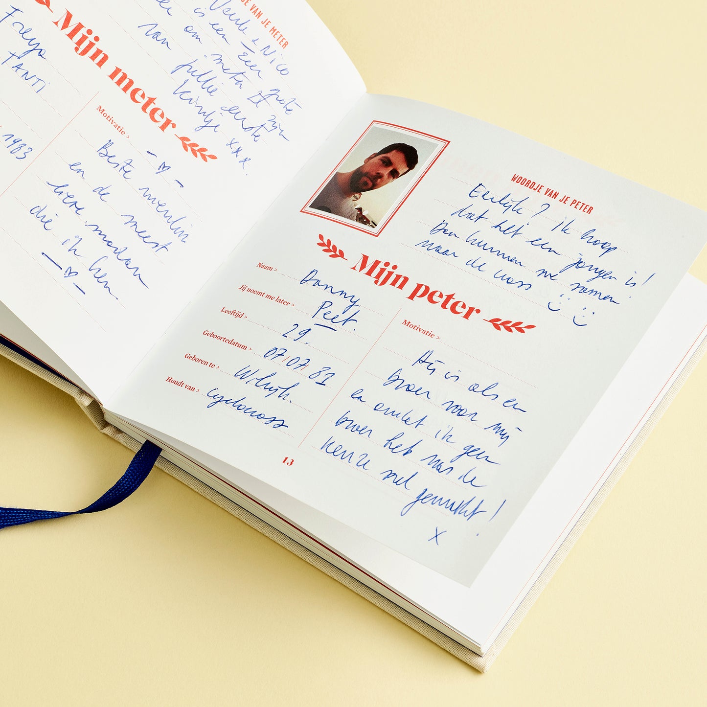 9 maanden logboek | Stratier - de inKijk