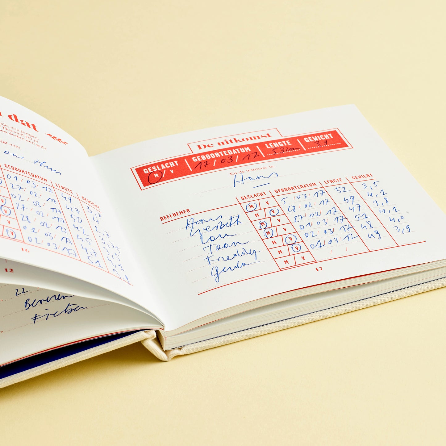 9 maanden logboek | Stratier - de inKijk
